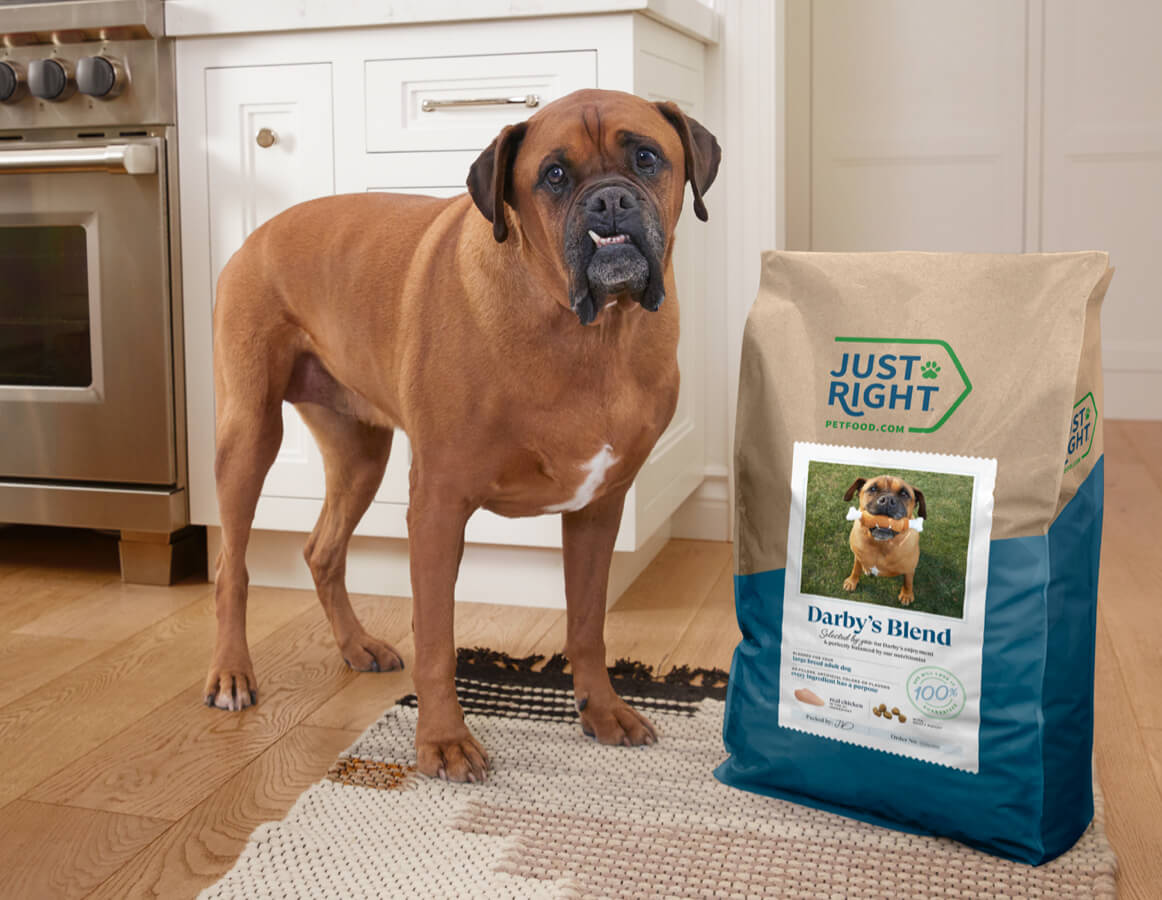 Justrightpetfood best sale